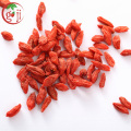 Wholesale Dried Wild Goji Berry Ningxia bulk